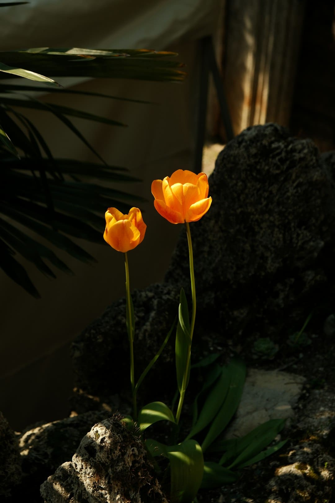 《后羿之箭神》明日上映 兴趣应战赢大奖活动同步上线